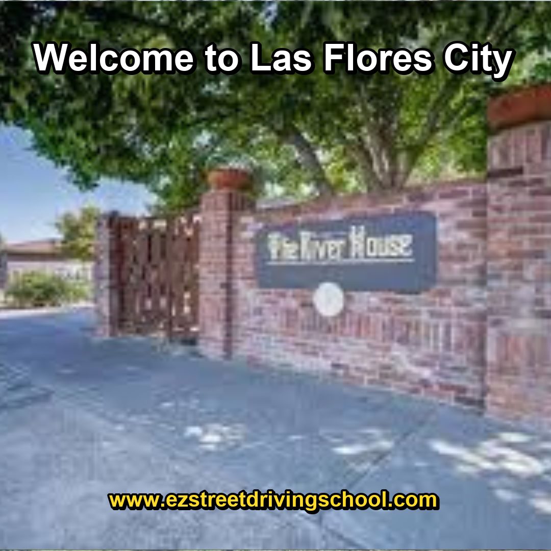 Driving Lessons in Las Flores